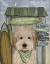 Picture of LABRADOODLE, CREAM, SURF SHACK