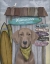 Picture of WEIMARANER SURF SHACK