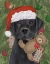Picture of CHRISTMAS BLACK LABRADOR AND TEDDY