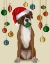 Picture of CHRISTMAS BOXER AND BAUBLE BALL