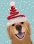 Picture of CHRISTMAS GOLDEN RETRIEVER AND SPRING SANTA HAT
