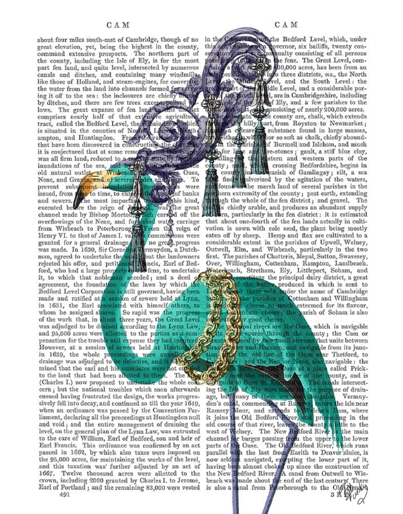 Picture of GREEN FLAMINGO PORTRAIT