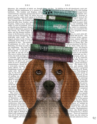 Picture of BEAGLE AND BOOKS