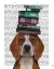 Picture of BEAGLE AND BOOKS