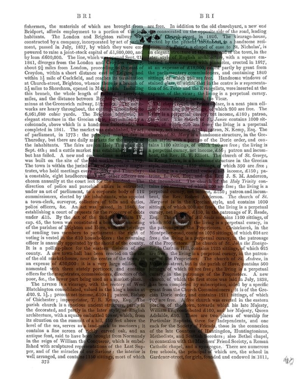 Picture of BEAGLE AND BOOKS