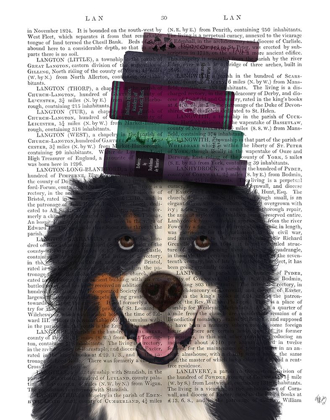 Picture of BERNESE AND BOOKS