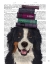 Picture of BERNESE AND BOOKS