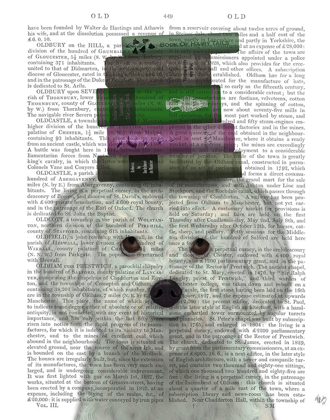 Picture of BICHON FRISE AND BOOKS