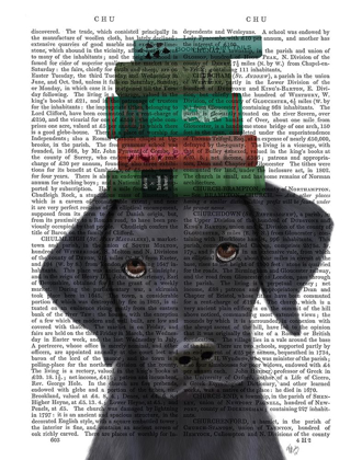 Picture of BLACK LABRADOR AND BOOKS