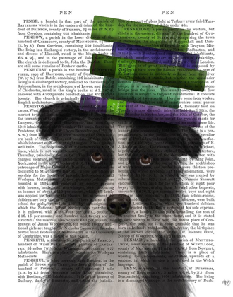 Picture of BORDER COLLIE, BLACK AND WHITE, AND BOOKS