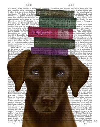 Picture of BROWN LABRADOR AND BOOKS