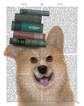 Picture of CORGI AND BOOKS