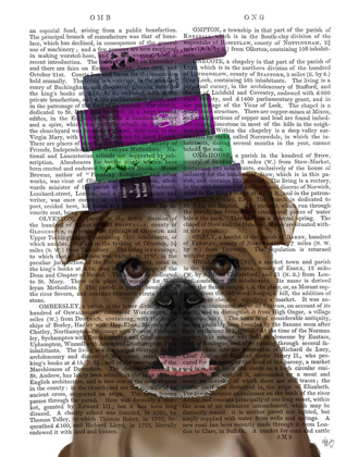 Picture of ENGLISH BULLDOG AND BOOKS
