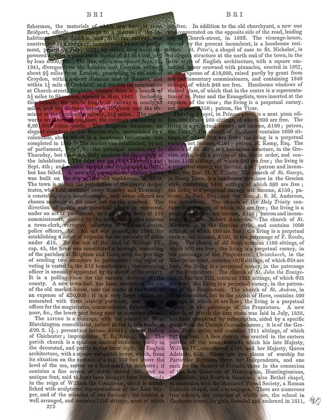 Picture of GERMAN SHEPHERD AND BOOKS