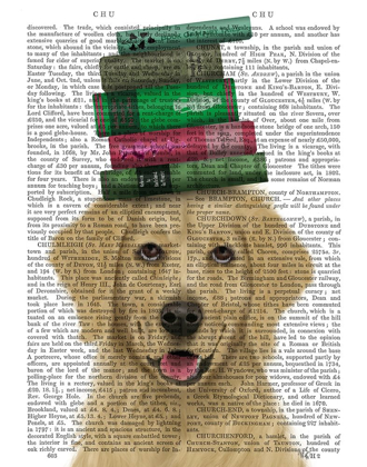 Picture of GOLDEN RETRIEVER AND BOOKS