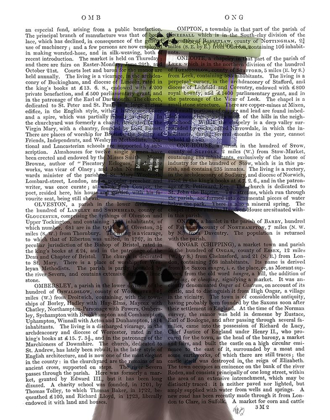 Picture of GREAT DANE AND BOOKS