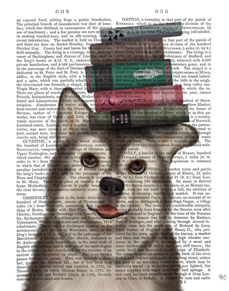 Picture of HUSKY AND BOOKS