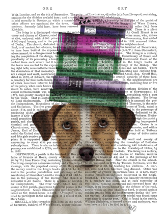 Picture of JACK RUSSELL AND BOOKS