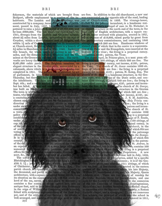 Picture of LABRADOODLE, BLACK, AND BOOKS