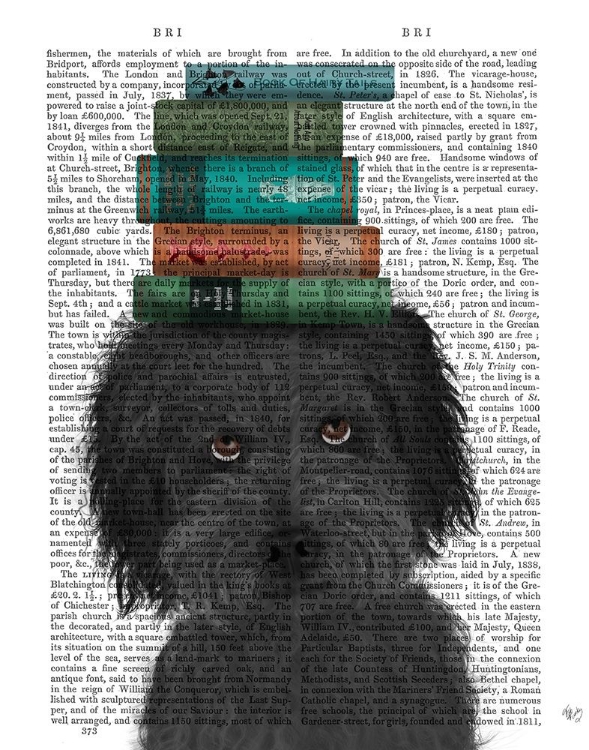 Picture of LABRADOODLE, BLACK, AND BOOKS