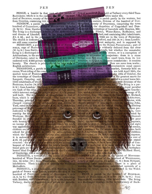 Picture of LABRADOODLE, BROWN, AND BOOKS