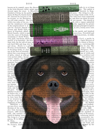 Picture of ROTTWEILLER AND BOOKS