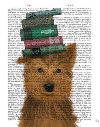Picture of YORKSHIRE TERRIER AND BOOKS