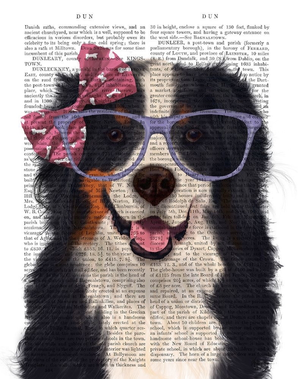 Picture of BERNESE WITH GLASSES AND BOW