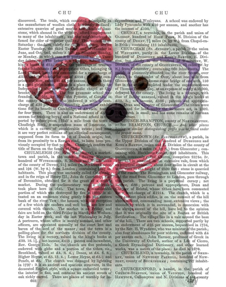 Picture of BICHON FRISE WITH GLASSES AND SCARF