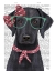 Picture of BLACK LABRADOR WITH GLASSES AND SCARF