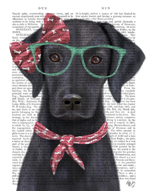 Picture of BLACK LABRADOR WITH GLASSES AND SCARF