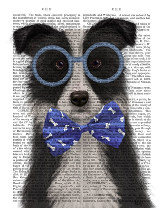 Picture of BORDER COLLIE, BLACK AND WHITE, WITH GLASSES AND BOW TIE
