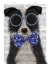 Picture of BORDER COLLIE, BLACK AND WHITE, WITH GLASSES AND BOW TIE