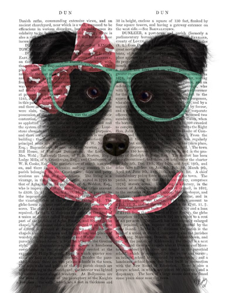Picture of BORDER COLLIE, BLACK AND WHITE, WITH GLASSES AND SCARF