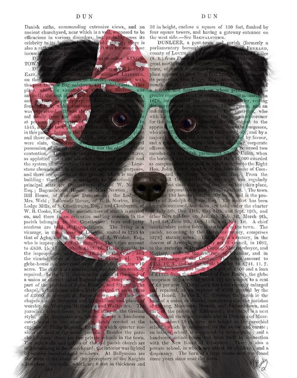 Picture of BORDER COLLIE, BLACK AND WHITE, WITH GLASSES AND SCARF