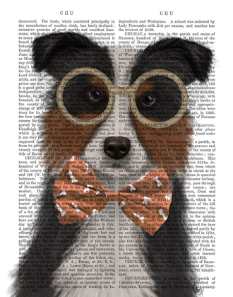 Picture of BORDER COLLIE, TRICOLOUR, WITH GLASSES AND BOW TIE