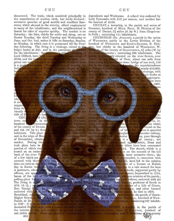 Picture of CHOCOLATE LABRADOR WITH GLASSES AND BOW TIE