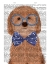 Picture of COCKERPOO, APRICOT, WITH GLASSES AND BOW TIE