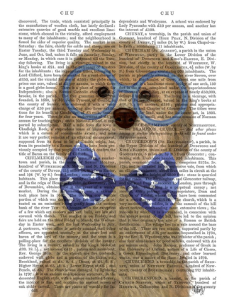 Picture of COCKERPOO, BLONDE, WITH GLASSES AND BOW TIE
