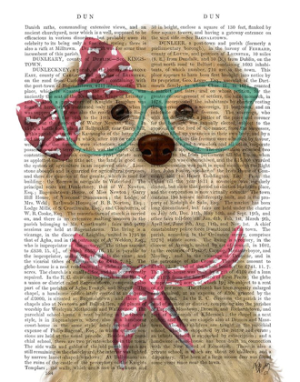 Picture of COCKERPOO, BLONDE, WITH GLASSES AND SCARF