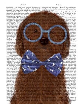 Picture of COCKERPOO, CHOCOLATE, WITH GLASSES AND BOW TIE