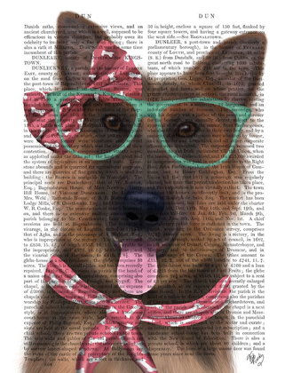 Picture of GERMAN SHEPHERD WITH GLASSES AND SCARF