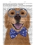 Picture of GOLDEN RETRIEVER, GLASSES AND BOW TIE