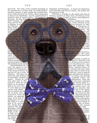 Picture of GREAT DANE WITH GLASSES AND BOW TIE