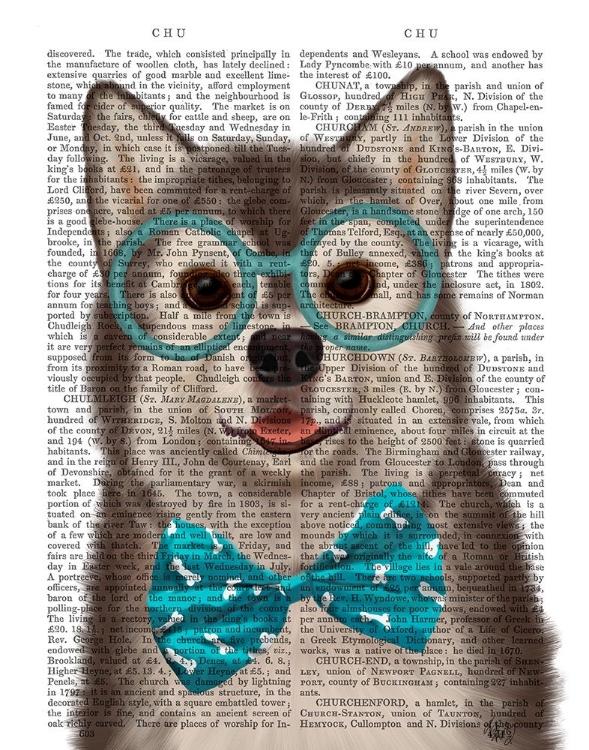 Picture of HUSKY WITH GLASSES AND BOW TIE