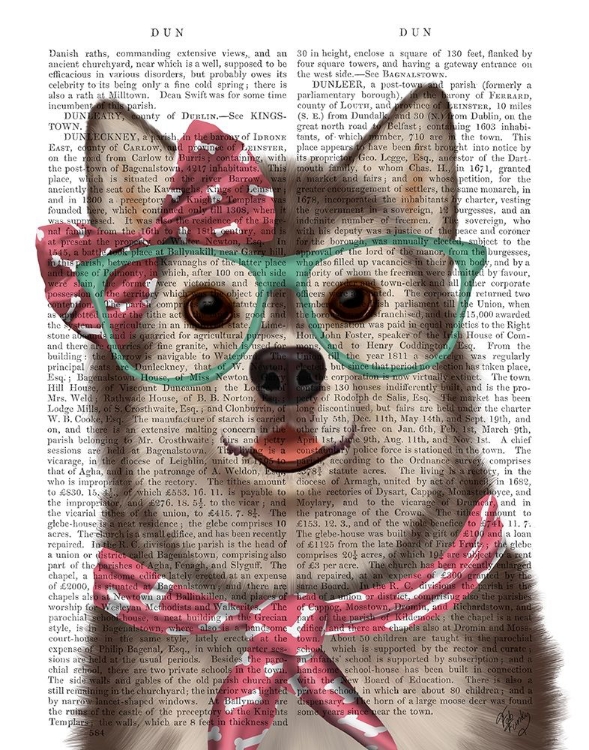 Picture of HUSKY WITH GLASSES AND SCARF