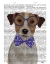 Picture of JACK RUSSELL WITH GLASSES AND BOW TIE