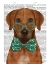 Picture of RHODESIAN RIDGEBACK WITH GLASSES AND BOW TIE