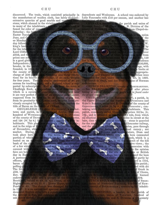 Picture of ROTTWEILER WITH GLASSES AND BOW TIE