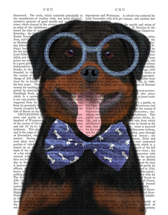 Picture of ROTTWEILER WITH GLASSES AND BOW TIE